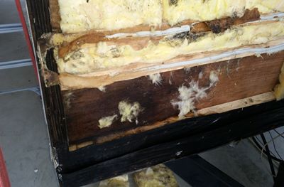 RV Water Damage Image